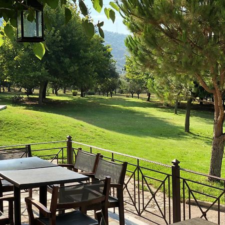 Hotel Marathia Arta Esterno foto